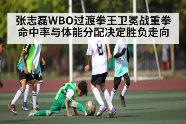 张志磊WBO过渡拳王卫冕战重拳命中率与体能分配决定胜负走向